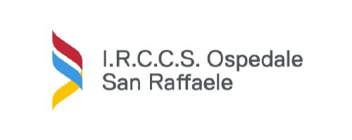 I.R.C.C.S. Ospedale San Raffaele